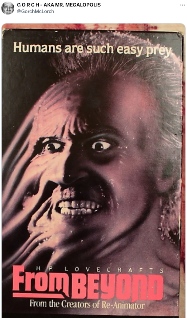 Scary Video Box Covers From The Past (20 pics)