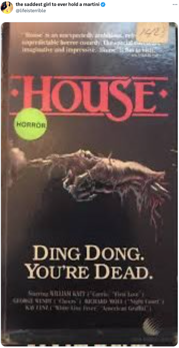 Scary Video Box Covers From The Past (20 pics)