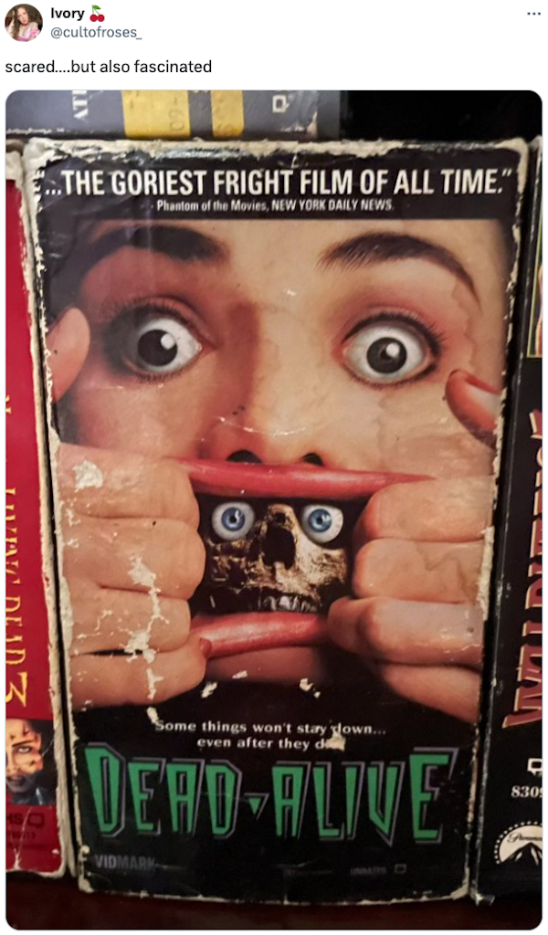 Scary Video Box Covers From The Past (20 pics)