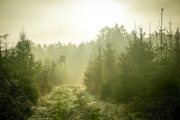 Hunting Photos (23 pics)