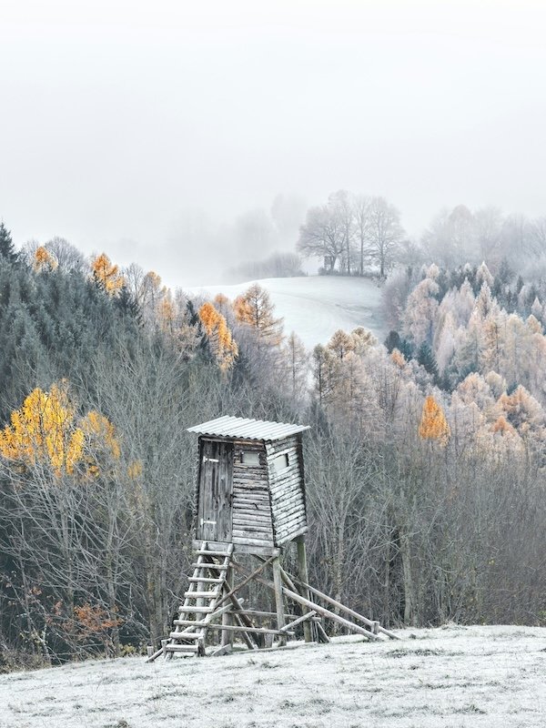 Hunting Photos (23 pics)