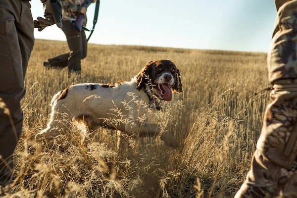 Hunting Photos (23 pics)