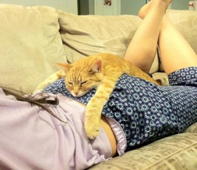 They Know How To Chill (20 pics)