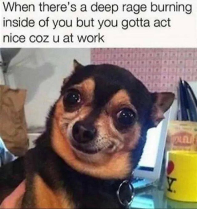 Work Memes (21 pics)