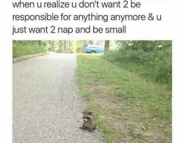 Memes About Mental Health (24 pics)