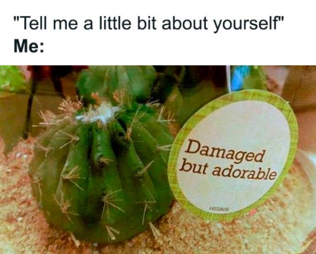 Memes About Mental Health (24 pics)