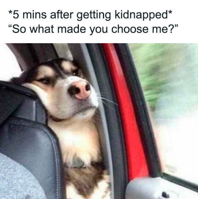 Memes About Mental Health (24 pics)