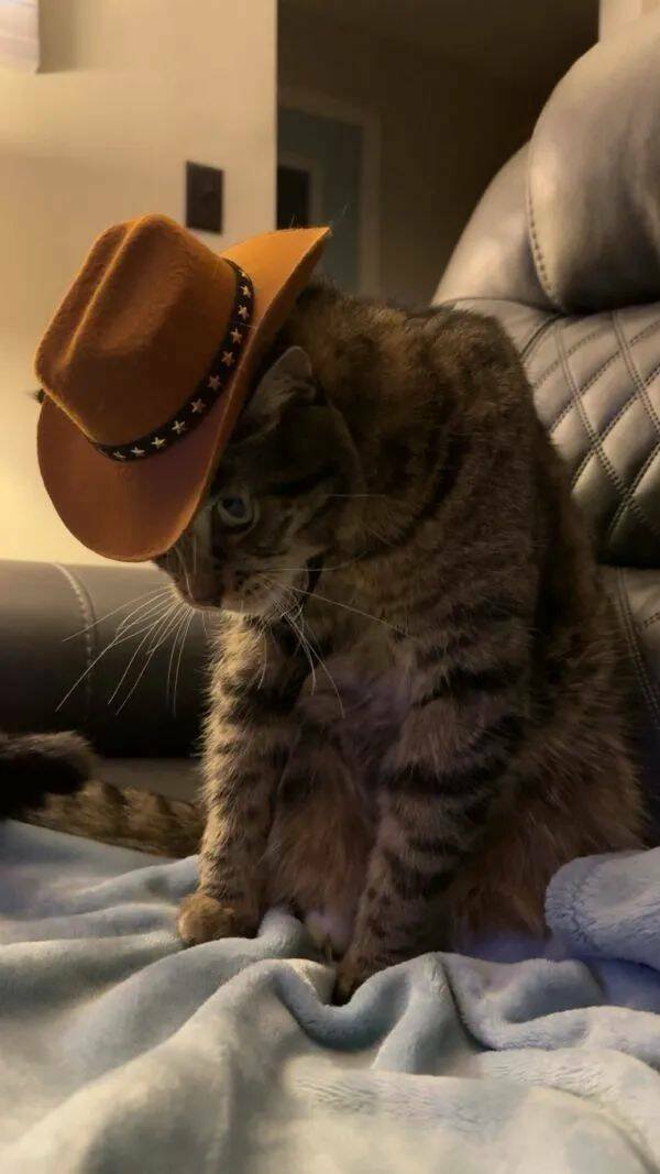 Funny Animals (22 pics)