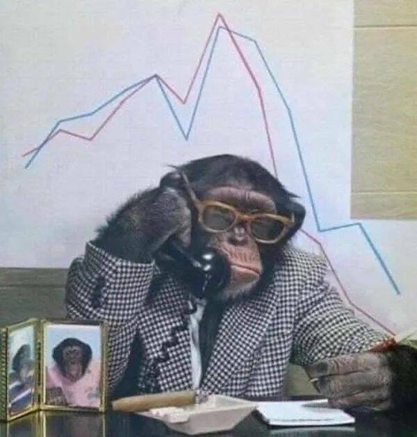 Funny Animals (22 pics)