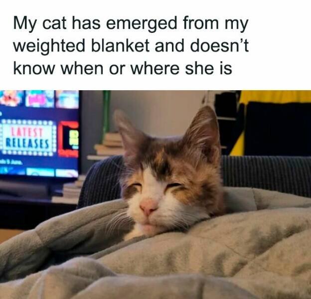 Photos And Stories For A Good Mood (24 pics)