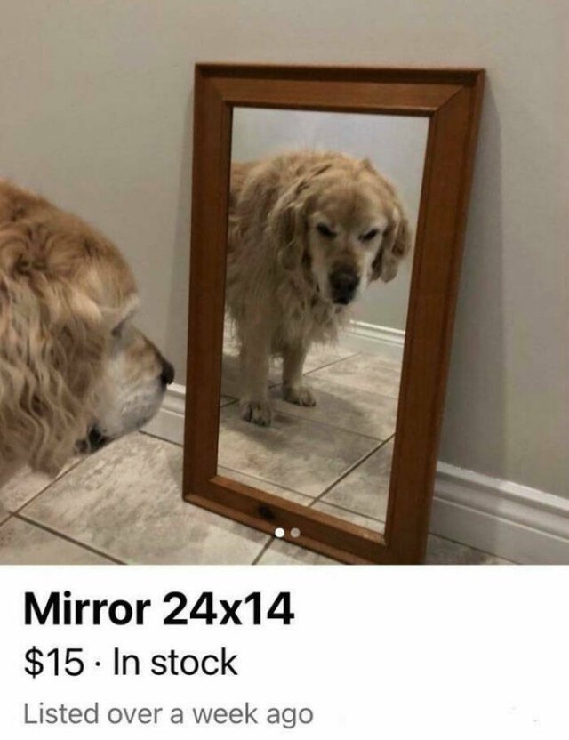 They're Just Trying To Sell Mirrors (22 pics)