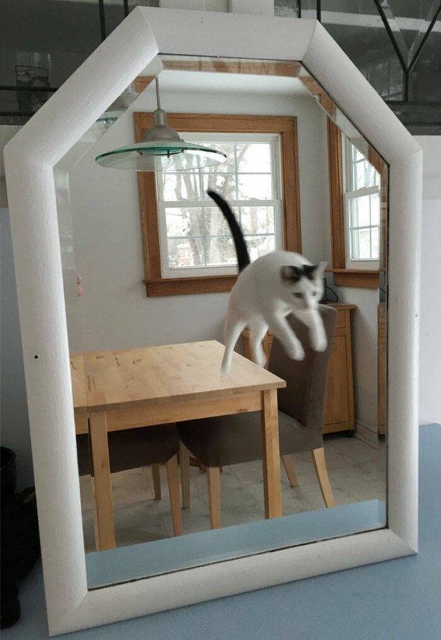 They're Just Trying To Sell Mirrors (22 pics)