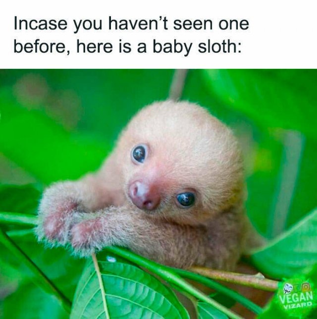 Photos And Stories For A Good Mood (24 pics)