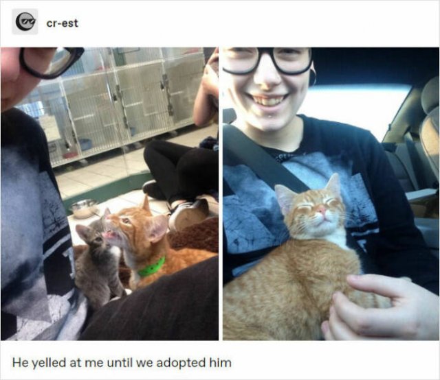 Photos And Stories For A Good Mood (24 pics)