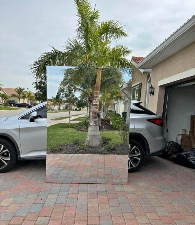 They're Just Trying To Sell Mirrors (22 pics)