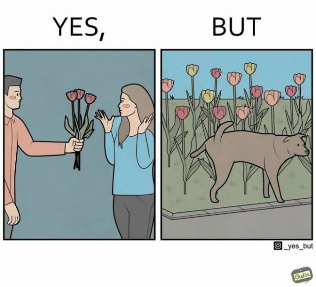 Funny ''Yes, But'' Pictures (28 pics)