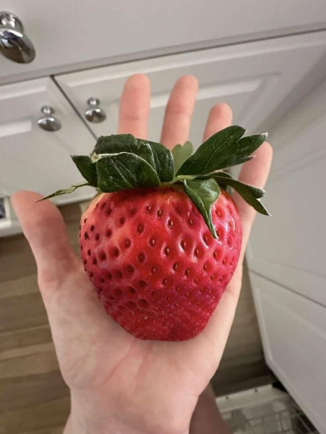 Fascinating Finds From Around The World (17 pics) Fascinating Finds From Around The World (17 pics)