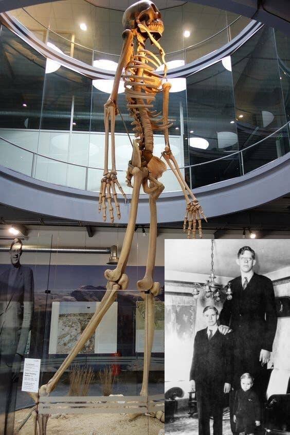 Fascinating Finds From Around The World (17 pics) Fascinating Finds From Around The World (17 pics)