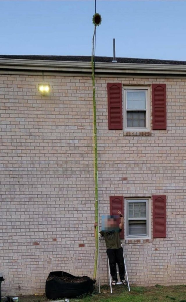 Fascinating Finds From Around The World (17 pics) Fascinating Finds From Around The World (17 pics)