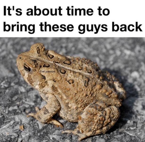 Memes About The Midwest (21 pics)