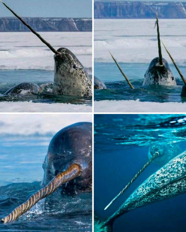 Interesting Finds And Discoveries (23 pics)