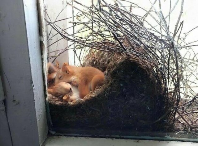 Interesting Finds And Discoveries (23 pics)