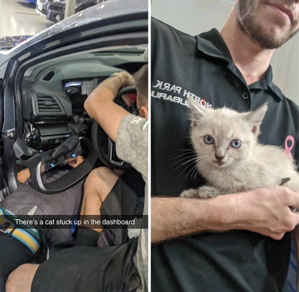 What Auto Mechanics Find (24 pics)