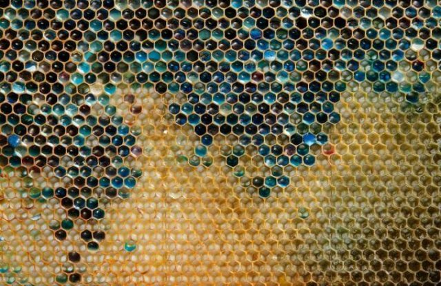 Interesting Finds And Discoveries (23 pics)
