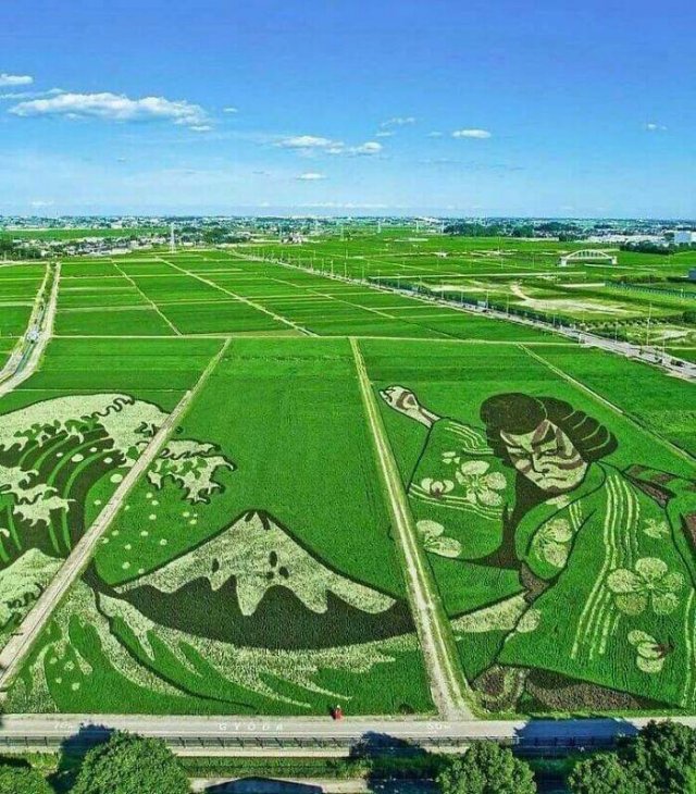 Interesting Finds And Discoveries (23 pics)