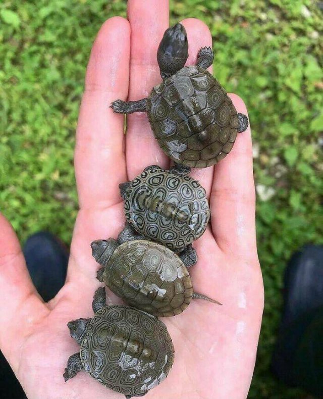 Interesting Finds And Discoveries (23 pics)
