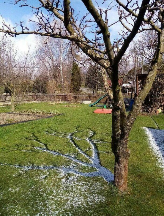 Interesting Finds And Discoveries (23 pics)