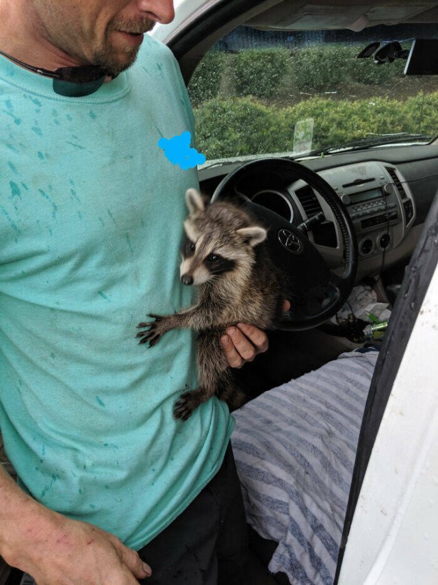 What Auto Mechanics Find (24 pics)