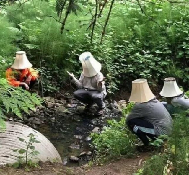 What Is Going On Here? (24 pics)