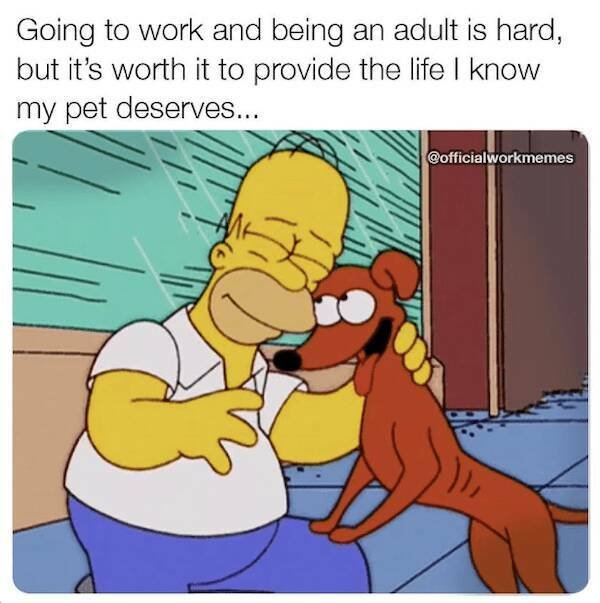 Work Memes (26 pics)