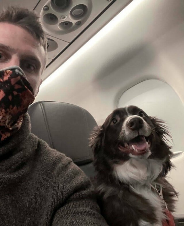Unexpected Passengers (25 pics)