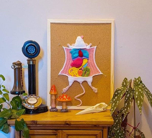 Weird Finds (23 pics)