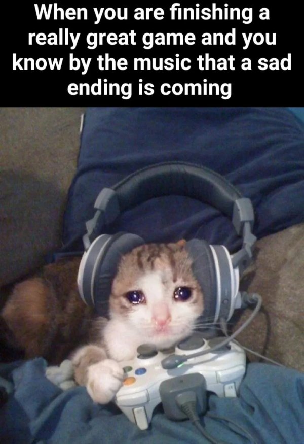Memes For Gamers (26 pics)