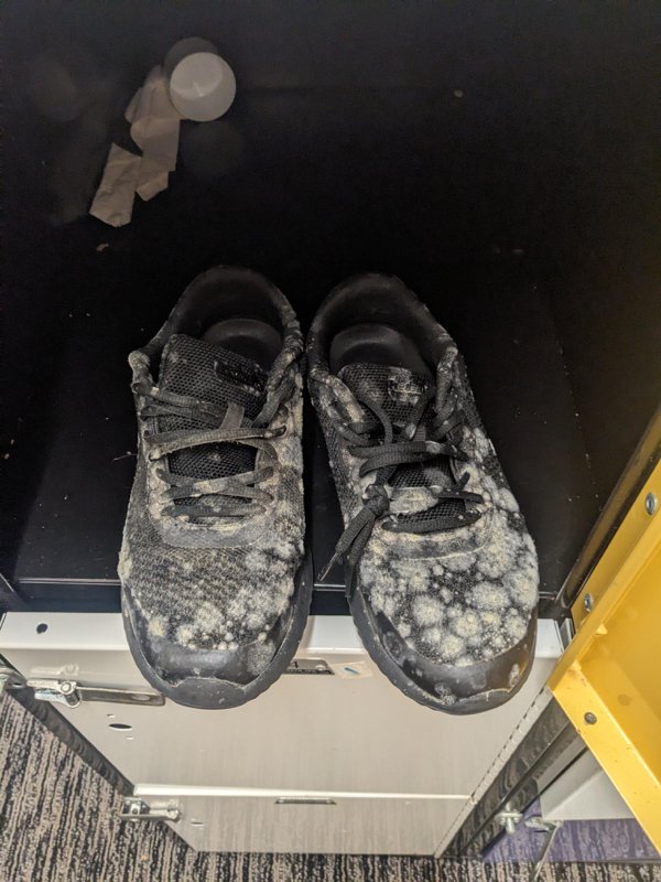 Weird Finds (23 pics)