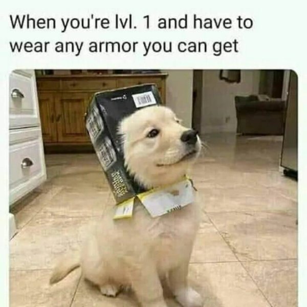Memes For Gamers (26 pics)