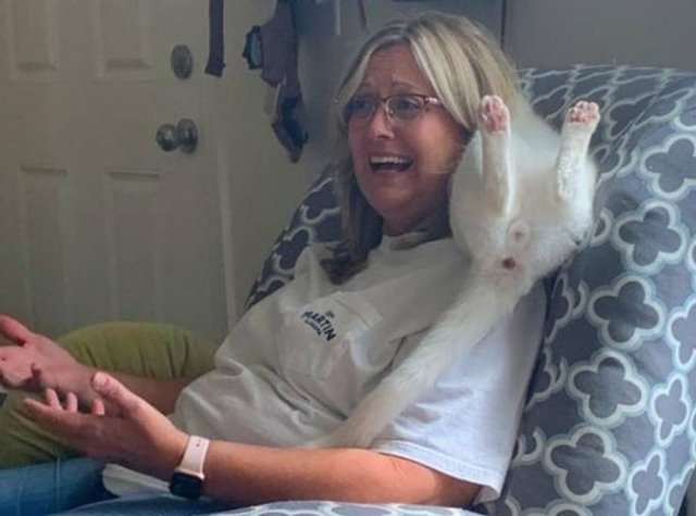 People Share Their Funny Pets (20 pics) People Share Their Funny Pets (20 pics)