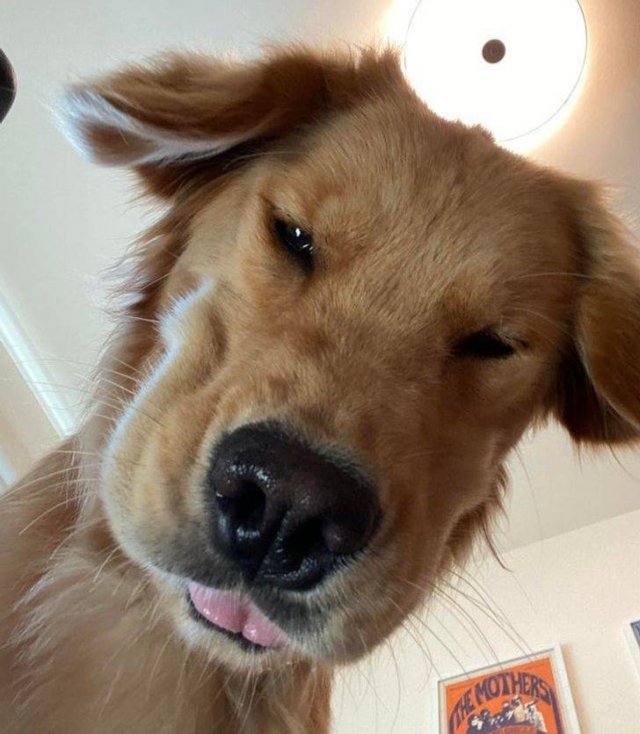 People Share Their Funny Pets (20 pics) People Share Their Funny Pets (20 pics)