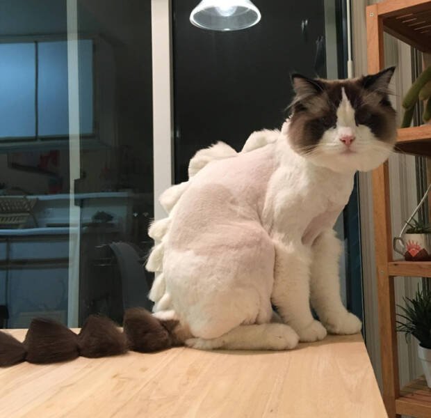 Expectation Against Reality (18 pics) Expectation Against Reality (18 pics)