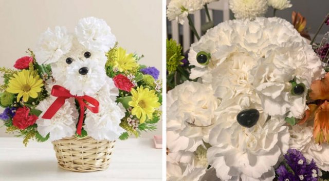 Expectation Against Reality (18 pics) Expectation Against Reality (18 pics)