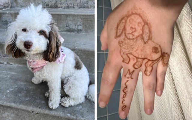 Expectation Against Reality (18 pics)