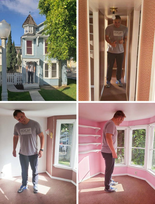 Expectation Against Reality (18 pics) Expectation Against Reality (18 pics)