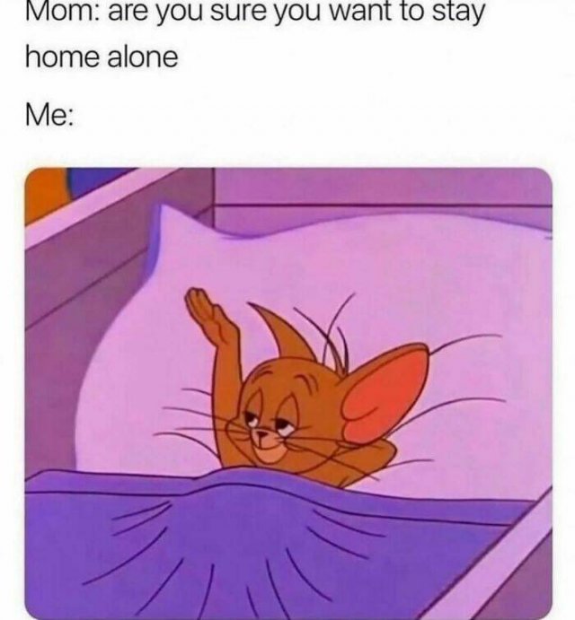 Memes For Introverts (25 pics)