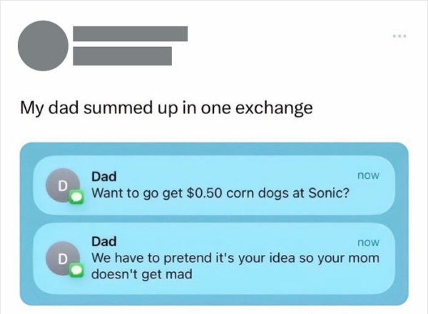 Awesome Dads (24 pics)