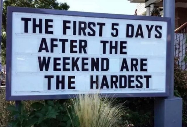 Funny And Weird Signs (17 pics)