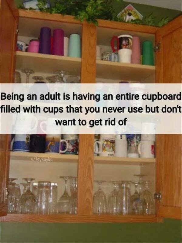 Truthful Memes (17 pics)