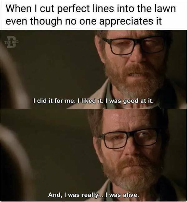 Truthful Memes (17 pics)